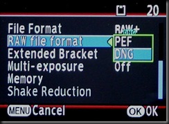 RAW formats
