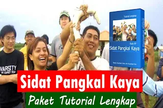 Paket tutorial lengkap tentang budidaya Ikan Sidat