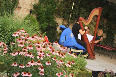 Botanic Garden in Sibenik