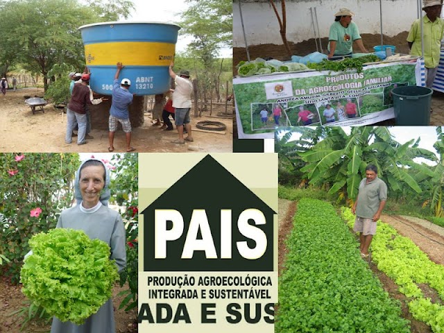 São João Agroecológico em Congo Paraíba