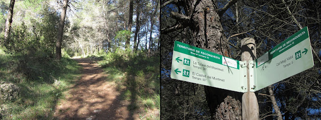 VALLFLOR (COLL D'ARCA) I MONTMELL, rètol en direcció al Puig de la Talaia