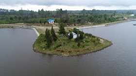 BOSAN DENGAN SUASANA KOTA, YUK KUNJUNGI  KEBUN RAYA DI INDONESIA