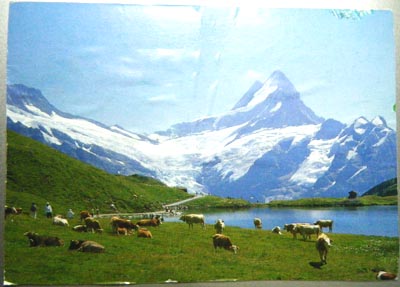DSCF1255.JPG