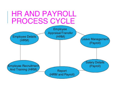 Payroll Software in Delhi, India