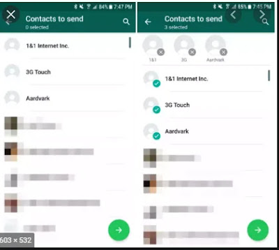 Mengembalikan Kontak Whatsapp Hilang Secara Tiba Tiba