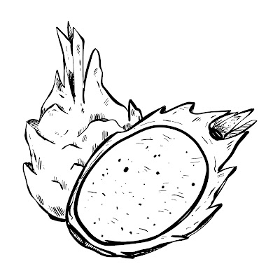 Pencil Sketch and Free Cartoon Images of Dragon Fruit