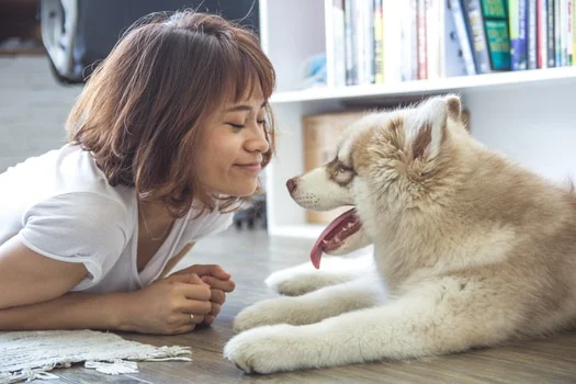 4 Surprising Ways Your Dog Says “I Love You” 