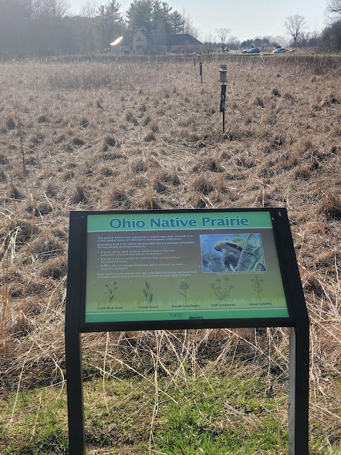 Ohio Native Prairie in Deer Haven Park