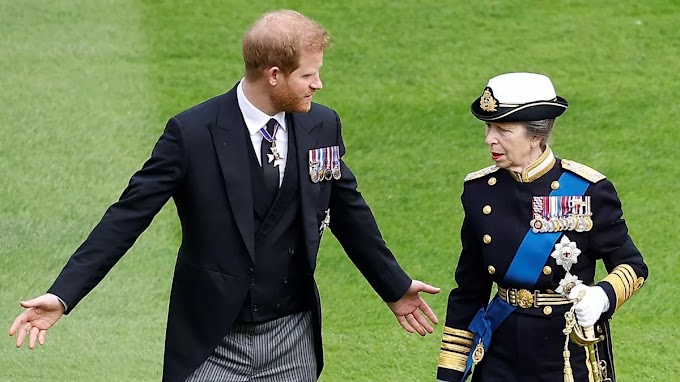  Princess Anne Declined Prince Harry's Request to Stay at Frogmore Cottage for Instagram's 10th Anniversary