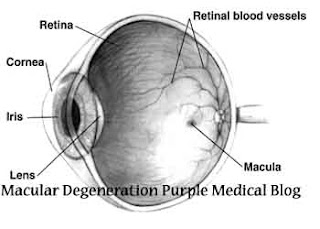 macular degeneration healty medical blog