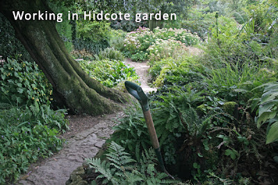 Visit to Hidcote Manor Gardens