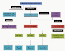 Materi Klasifikasi Makhluk Hidup IPA SMP