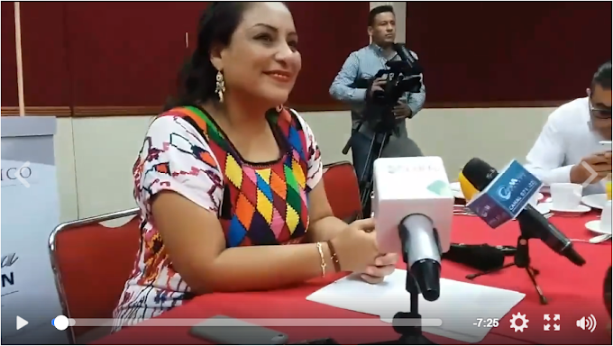 VIDEO: Karina Baron anuncia propuesta para evitar fraude electoral 