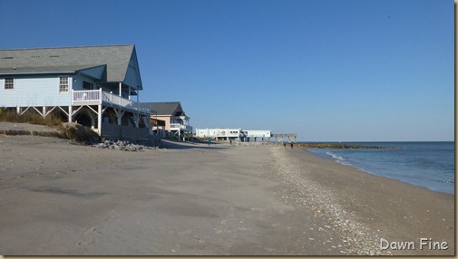 Edisto Beach State Park day 2_102