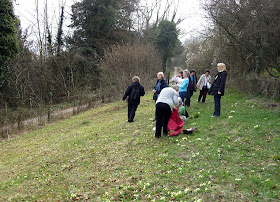 The group on Musk Orchid Bank, about to rest among primroses