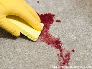Stain removes from carpet