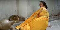 actress in saree photos+fathima babu hot saree photos