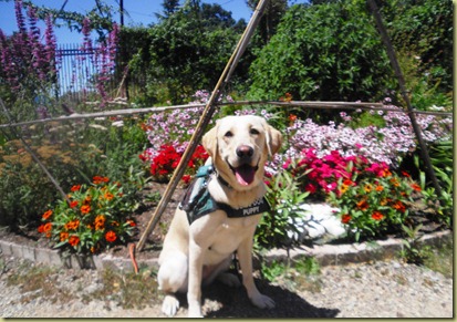 Reyna sitting and smiling in front of a field of colorful flowers.