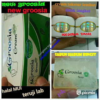 Harga Groosia Cream