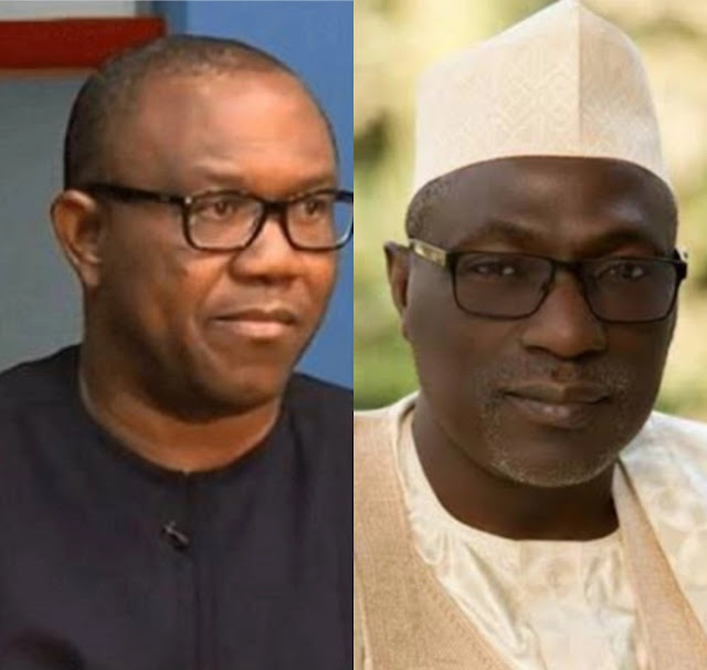 "Swallow Presidential ambition and return to PDP"- Makarfi  Urges  Peter Obi