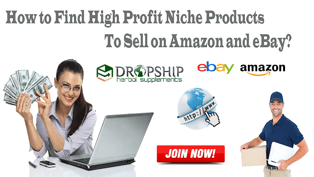 High Profit Niche Products to Sell on Amazon and eBay