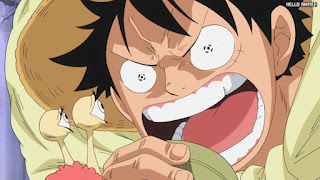 ワンピースアニメ 魚人島編 571話 ルフィ Monkey D. Luffy | ONE PIECE Episode 571