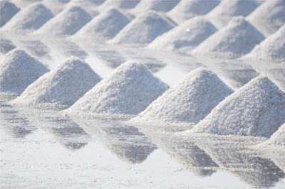 Industrial Salts Market