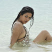 Shraddha das in bikini stills