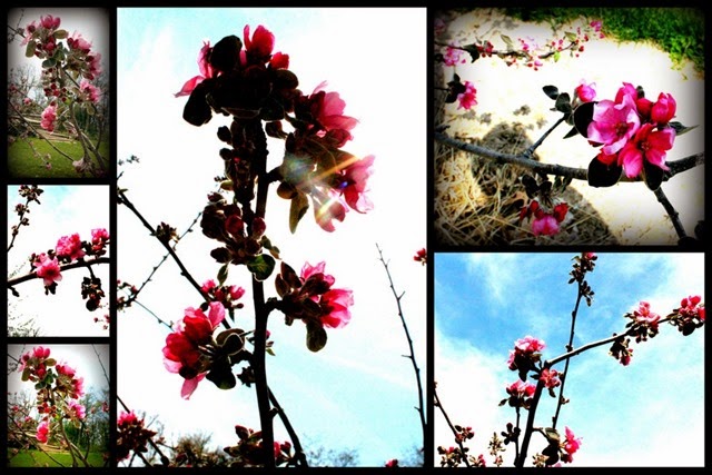 2015-05-04