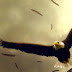 Facebook Timeline Cover Birds - American Eagle