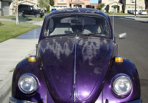 a Volkswagon Beetle.