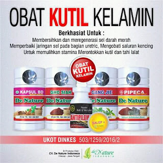 Obat kutil kelamin herbal