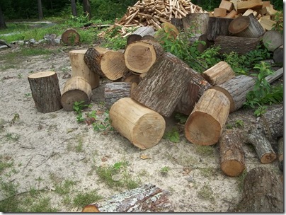 woodpile2