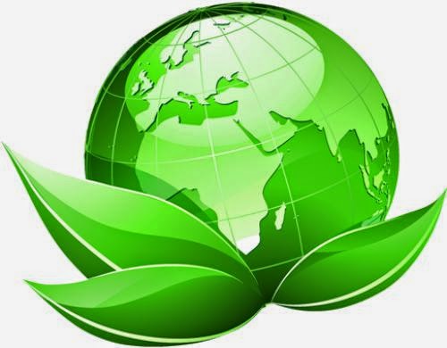 How To Convert Agro Waste To Energy Source