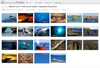 Follow the adventure in Valdes Peninsula, Whale Watching, Orcas Season,Elephant Seals, Penguin in your Social Network