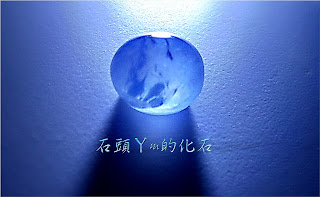 §緬甸藍寶星石§稀有天然無處理*清晰六芒星彩*1.45ct【