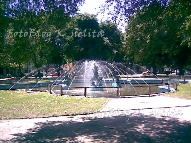 foto de la fuente de plaza Rocha