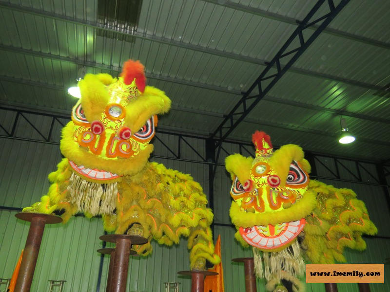 Master Siow :Lion Dance