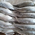 Simple Rules Finding Frozen Milkfish Importers