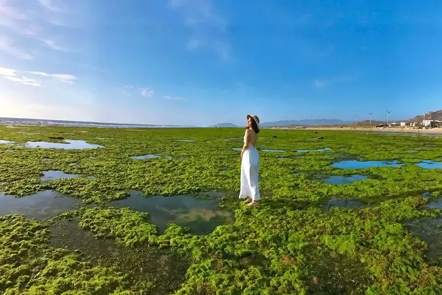 48 giờ ở Ninh Thuận