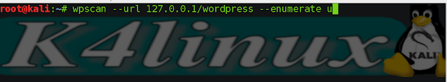 Kali-linux-brute-force-wordpress-wpscan- picateshackz.com