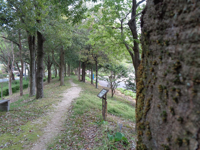 東郷湖羽合臨海公園あやめ池公園