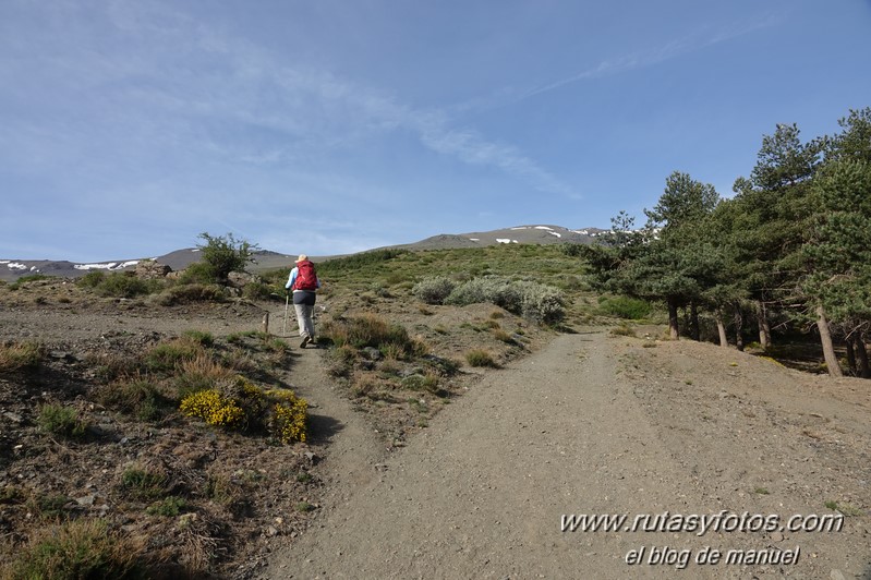 Cerros Trevelez - Granados - Peñón del Muerto I y II - Plaza de los Lobos