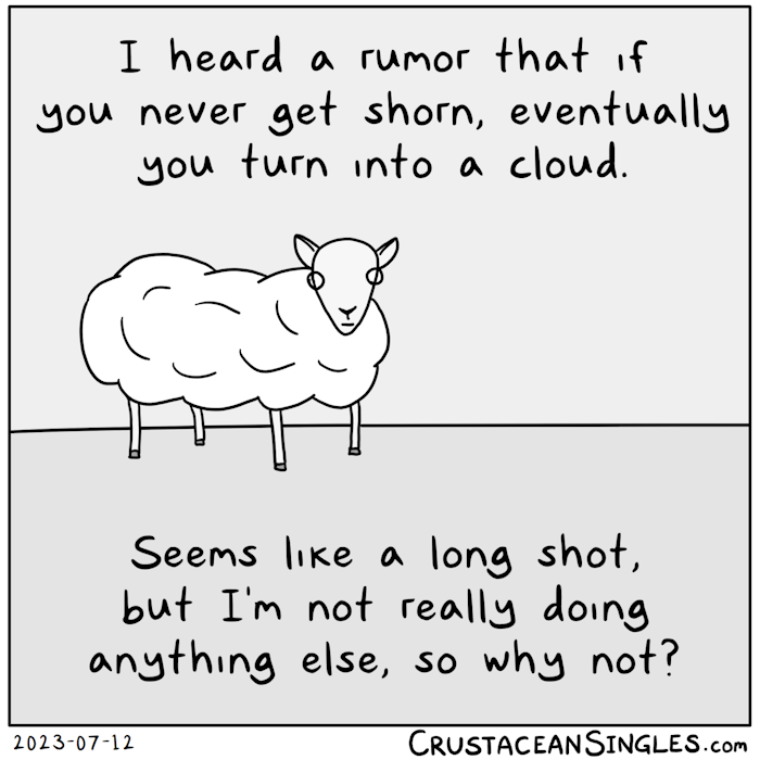 A sheep stares at the reader. "I heard a rumor that if you never get shorn, eventually you turn into a cloud. / Seems like a long shot, but I'm not really doing anything else, so why not?"