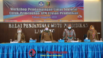 Workshop SPM Bidang Pendidikan 2022, Wagub Chusnunia Ajak Kabupaten/Kota Wujudkan Pendidikan Bermutu 