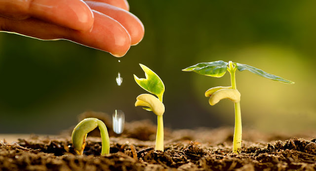 Agriculture fertilizer in delhi