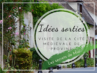 https://www.lessecretsdemia.com/2019/08/visite-provins-cite-medievale-77.html