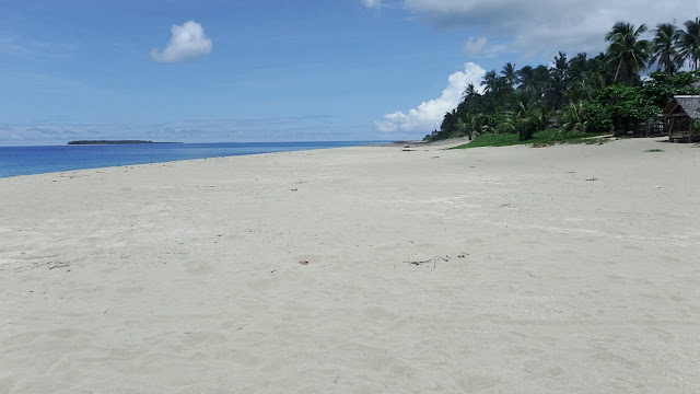 right flank of the white sand beach area at UEP White Beach Resort in University of Eastern Philippines (UEP) in Catarman Northern Samar