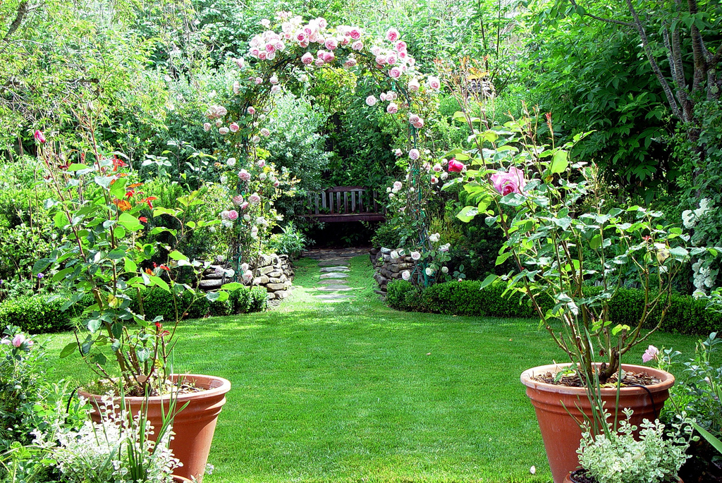 Beautiful home garden