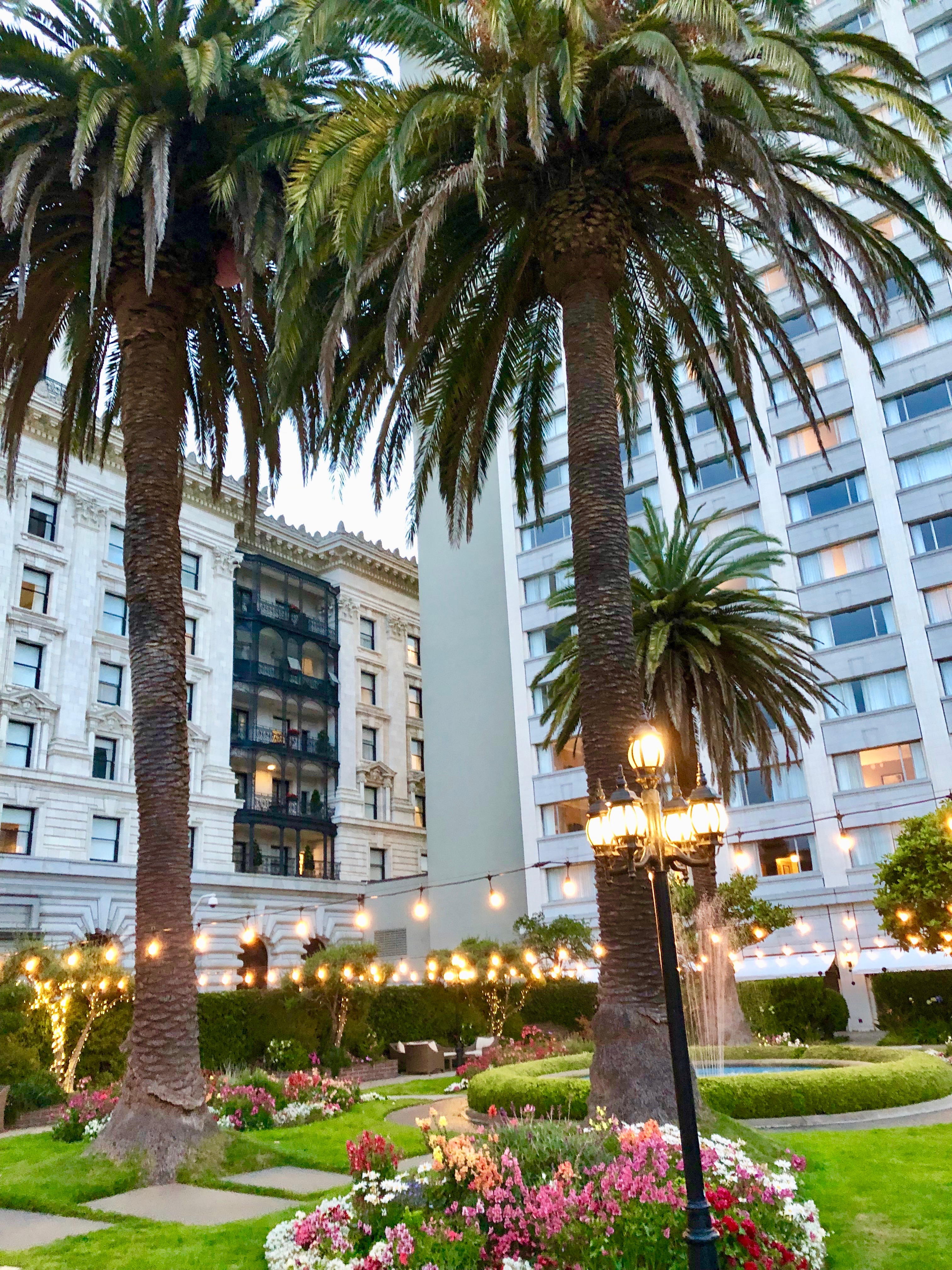 Garden Terrace Wedding at the Fairmont Hotel in San Francisco - Blooming Flower Garden - San Francisco - Adrienne Nguyen